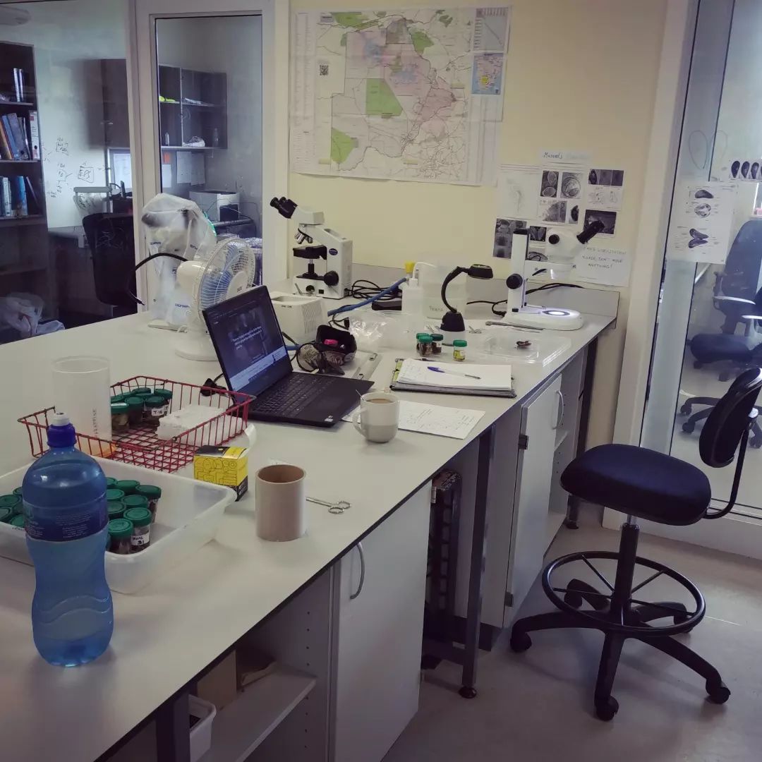 Labwork set up. Grahamstown, Eastern Cape (2022).