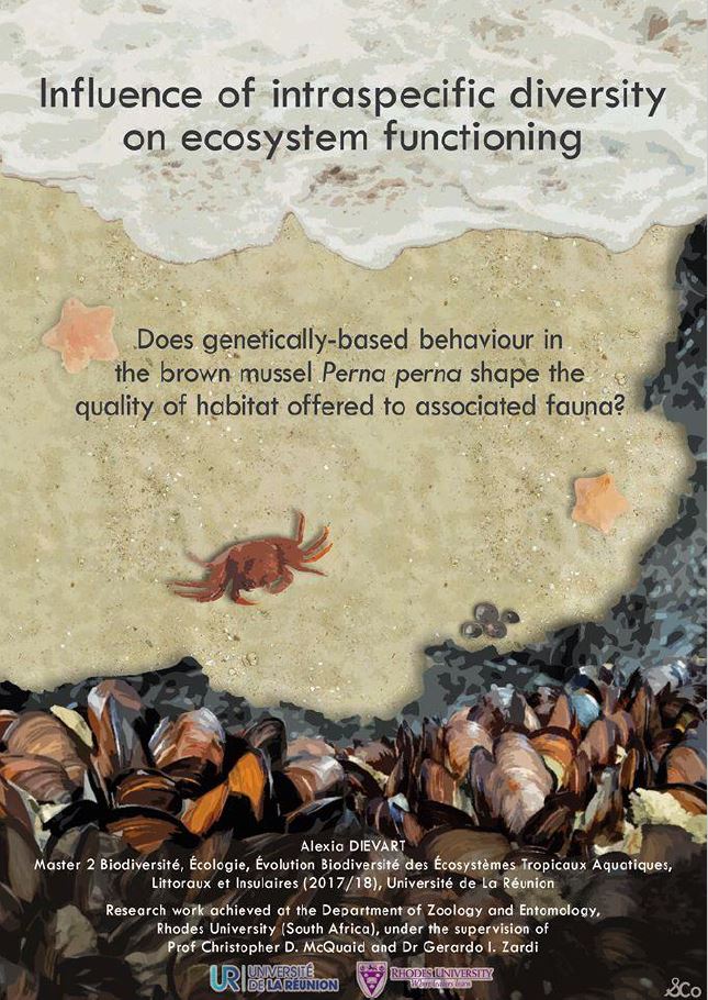 Dievart A. M. (2018). Influence of intraspecific diversity on ecosystem functioning: Does genetically-based behaviour in the brown mussel Perna perna shape the quality of habitat offered to associated fauna? MSc thesis. University of Reunion Island, Saint-Denis, Reunion Island. pp. 50. DOI: 10.13140/RG.2.2.18954.24003 - Open Access
