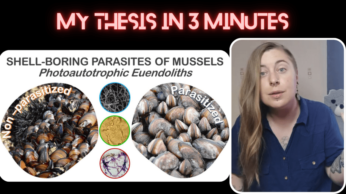 Mussels & Parasites: an ecosystem in danger 🐚 [3&nbsp;min]