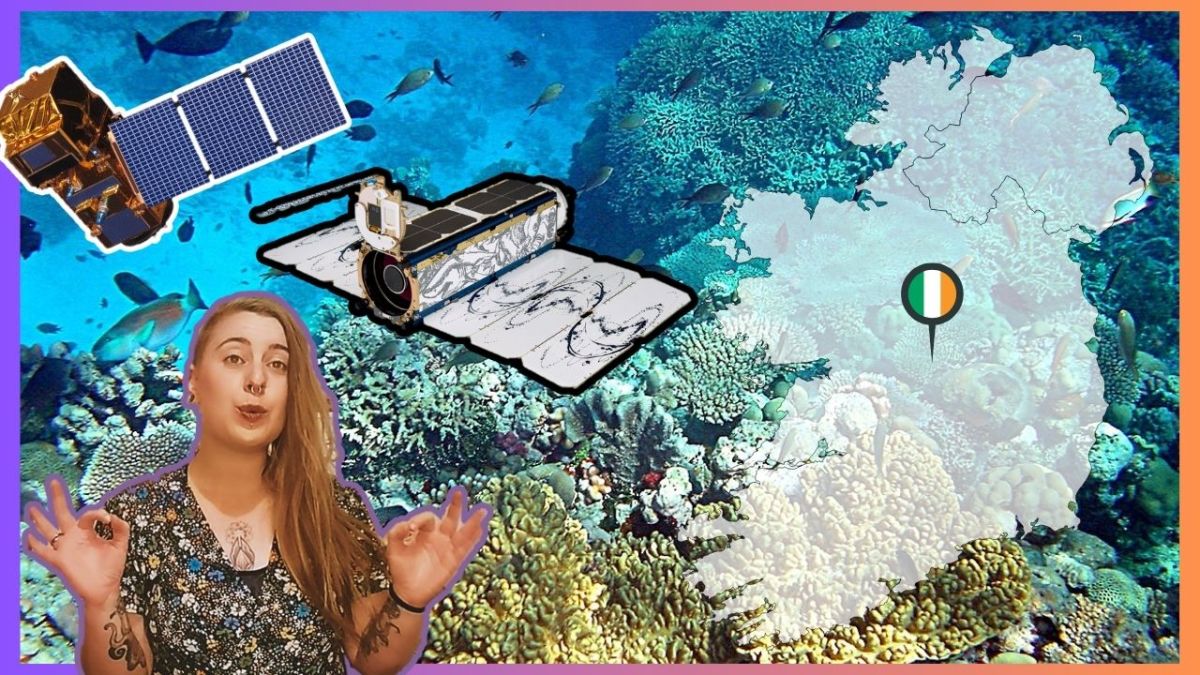 We Found Invisible Coral Reefs 🐠🛰️ [11&nbsp;min]